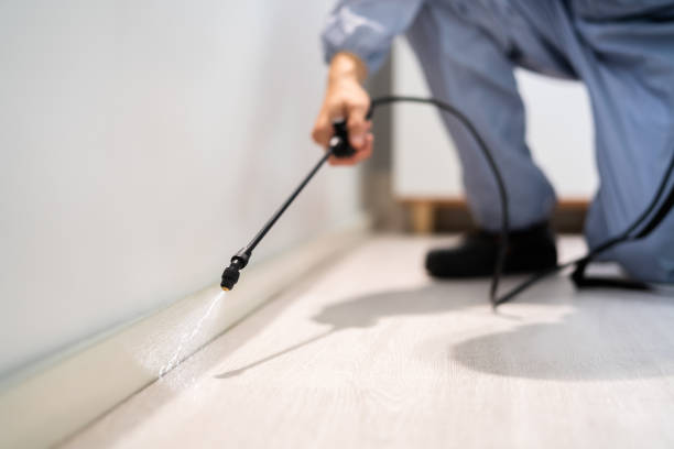 Bed Bug Pre-Treatment Preparation Assessment in Waelder