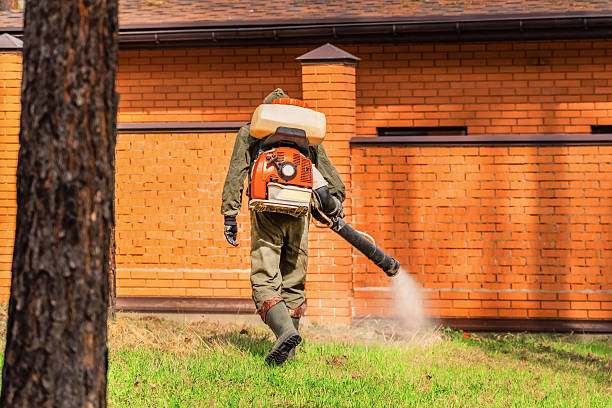 Bed Bug Clearance Verification and Documentation in Waelder